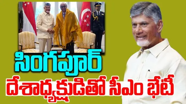 Singapore Tour: సింగపూర్ దేశాధ్యక్షుడితో సీఎం చంద్రబాబు భేటీ