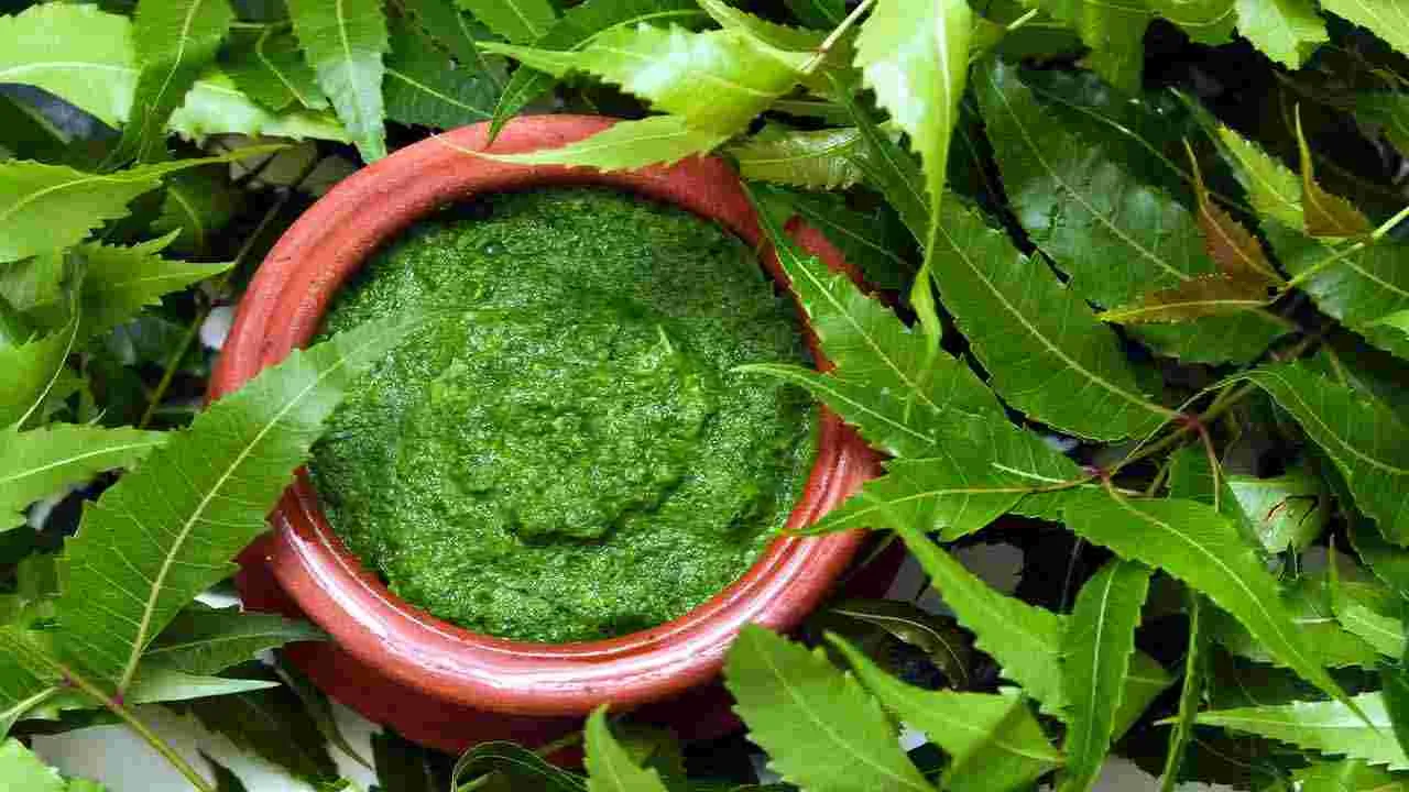 Health Tips: వర్షాకాలంలో రోగ నిరోధక శక్తిని పెంచే 6 ఆహారాలివే.. 