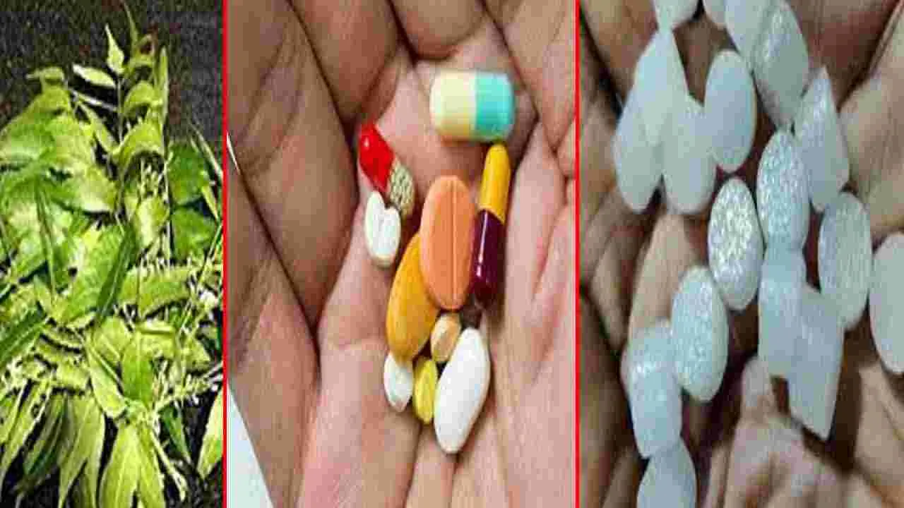 Mosquitos Prevention Tips : దోమలతో విసిగిపోయారా.. అయితే ఈ సింపుల్ చిట్కాను ట్రై చేసి చూడండి..