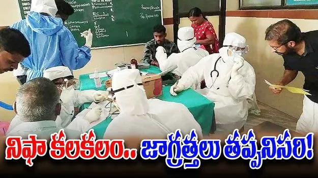 Nipah Virus Outbreak: భయపెడుతున్న నిఫా వైరస్.. ఈ జాగ్రత్తలు తప్పనిసరి!