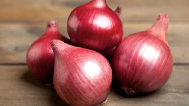 Tips To Store Onions:  ఉల్లిపాయలు కుళ్ళిపోకుండా ఎలా నిల్వ చేసుకోవాలి? ఈ సింపుల్ టిప్స్ మీ కోసం..