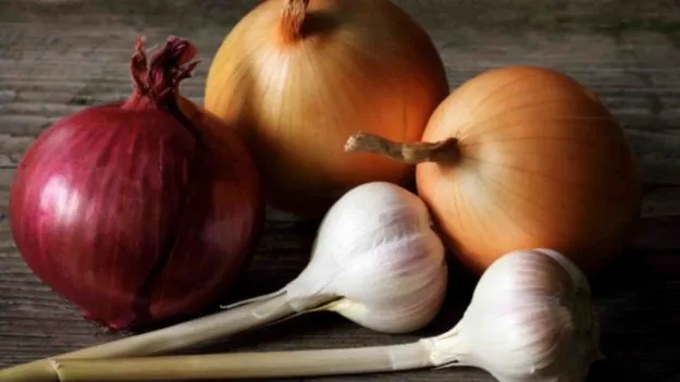 Shravan Masam 2025:  శ్రావణ మాసంలో ఉల్లిపాయలు, వెల్లుల్లి ఎందుకు తినకూడదు? 