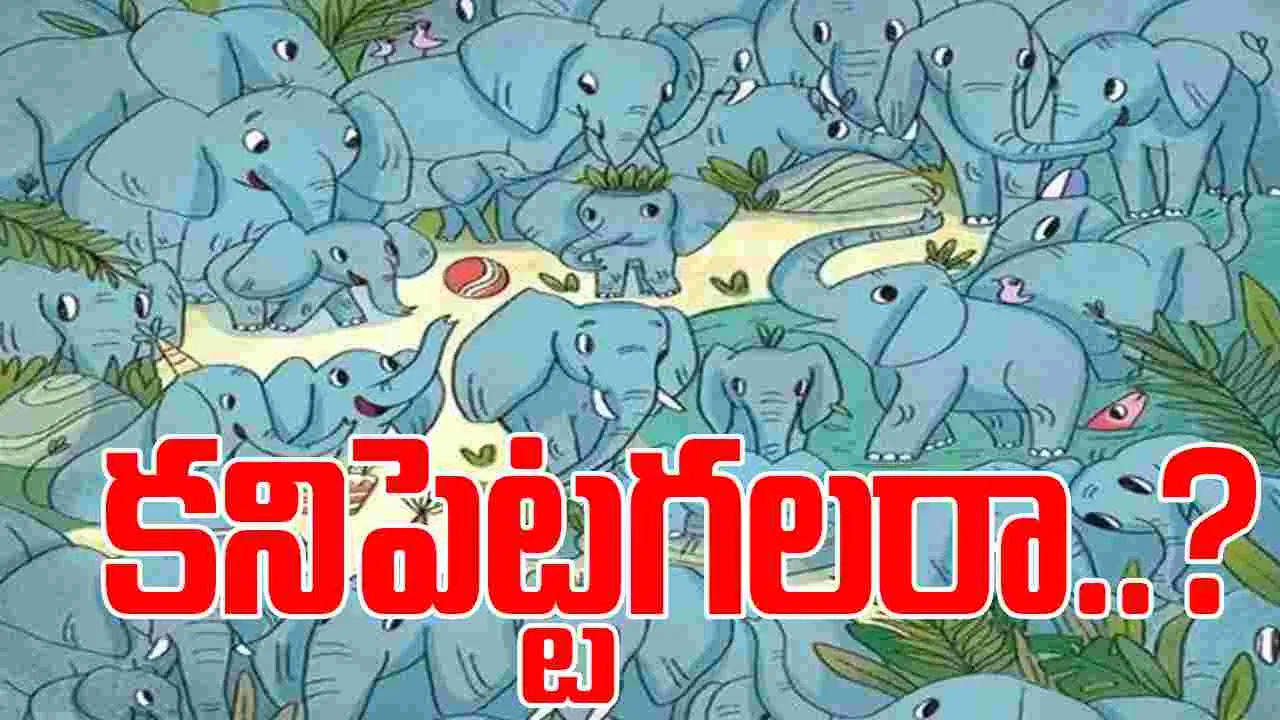Optical Illusion Test: మీ పరిశీలనా శక్తికి సవాల్.. ఈ ఏనుగుల మధ్యలోనున్న రైనోను 5 సెకెన్లలో పట్టుకోండి..