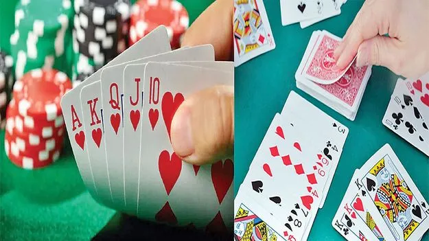 మామిడి తోటల్లో.. ముక్కలాట!