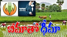 Crop insurance: బీమాతో ధీమా