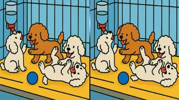 Picture Puzzle: మీ దృష్టికి పరీక్ష.. ఈ ఫొటోల్లోని మూడు తేడాలను 19 సెకెన్లలో కనిపెట్టండి