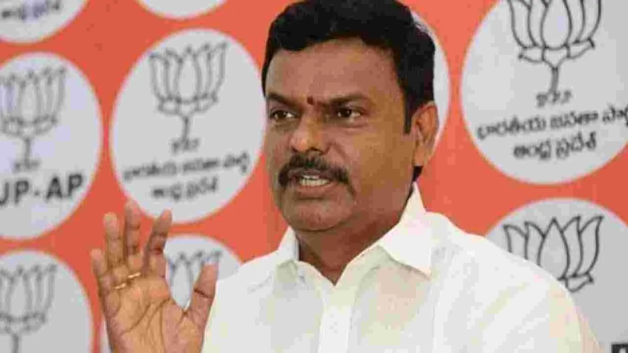 PVN Madhav: షర్మిల మత ప్రచారం చేశారు.. పీవీఎన్ మాధవ్ కీలక వ్యాఖ్యలు