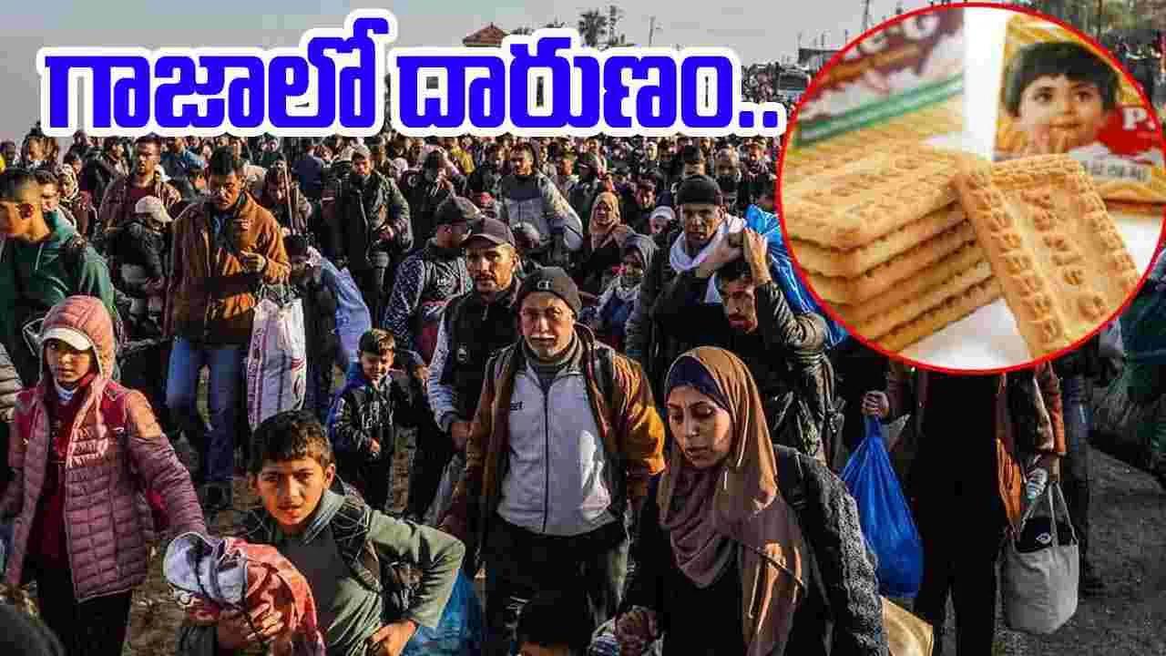 Israel-Palestine War: గాజాలో దారుణం..  రూ.5ల పార్లే జీ ప్యాకెట్.. రూ.2,342..