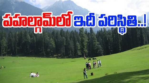 Pahalgam Terror Attack: పహల్గామ్ ఉగ్ర దాడి.. రెండు నెలల తర్వాత.. 