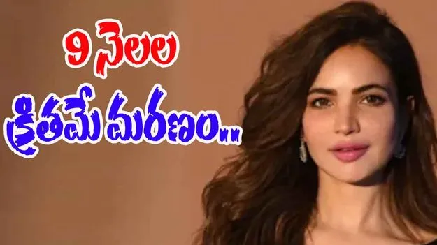 Actress Humaira Asghar: మిస్టరీగా నటి మరణం.. 9 నెలల తర్వాత బయటపడ్డ శవం..