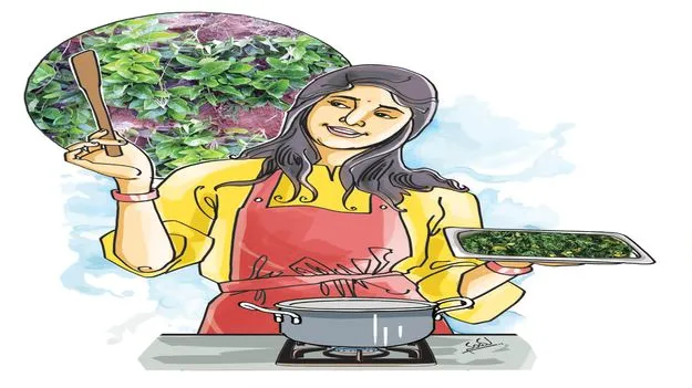 Ayurvedic: జీవం నింపే పాలతీగ