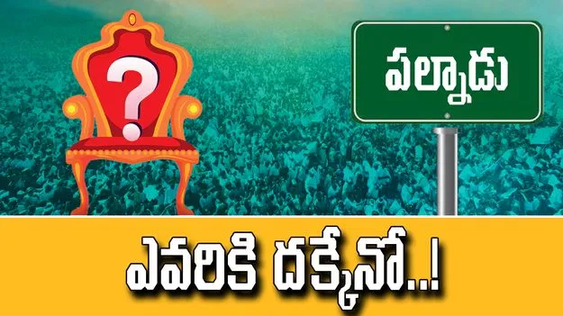 Palnadu YSRCP Politics: పల్నాడు వైసీపీలో ఒకటే చర్చ.. దేని గురించంటే..