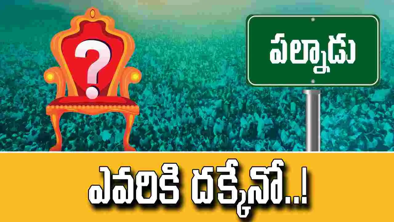 Palnadu YSRCP Politics: పల్నాడు వైసీపీలో ఒకటే చర్చ.. దేని గురించంటే..