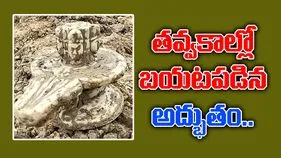 Panchmukhi Shivling: తవ్వకాలలో బయటపడిన పంచముఖి శివలింగం.. 300 సంవత్సరాల..