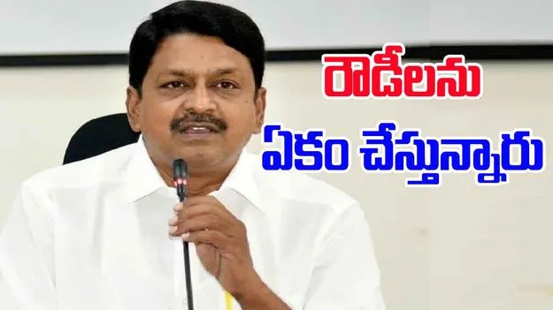 Payyavula Keshav:  రౌడీలను ఏకం చేసి ప్రజల్ని భయపెట్టాలని చూస్తున్నారు