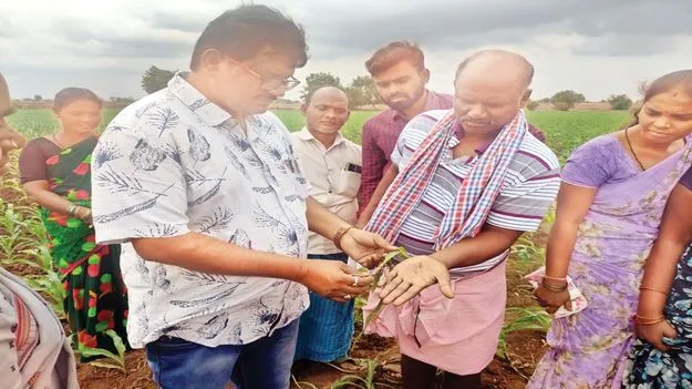  సస్యరక్షణ చర్యలు పాటించాలి