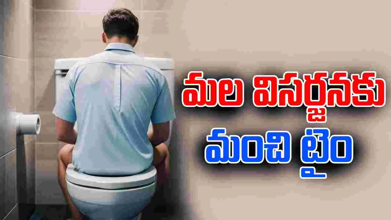 Health News: మల విసర్జన చేయడానికి మంచి టైం ఏది.. డాక్టర్లు ఏం చెబుతున్నారు..