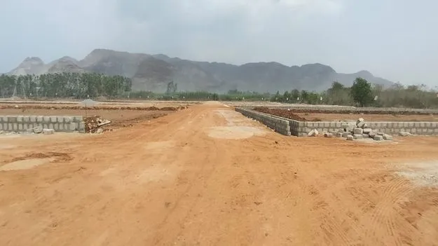 ‘బఫర్‌’ ఆఫర్‌