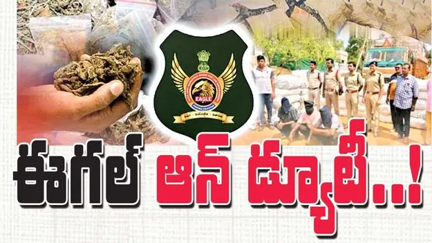 ‘ఈగల్‌’ ఆన్‌ డ్యూటీ..!