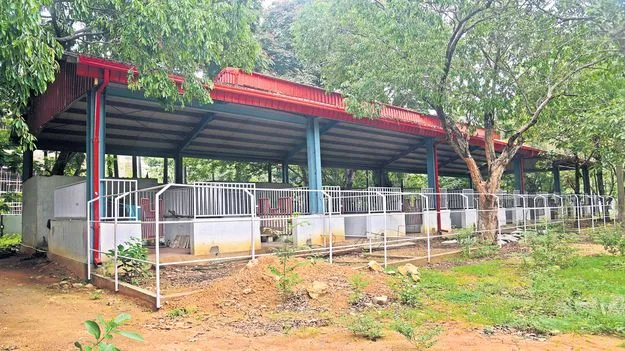 గుర్రపు స్వారీకి 3 కోట్లు ధారాదత్తం!