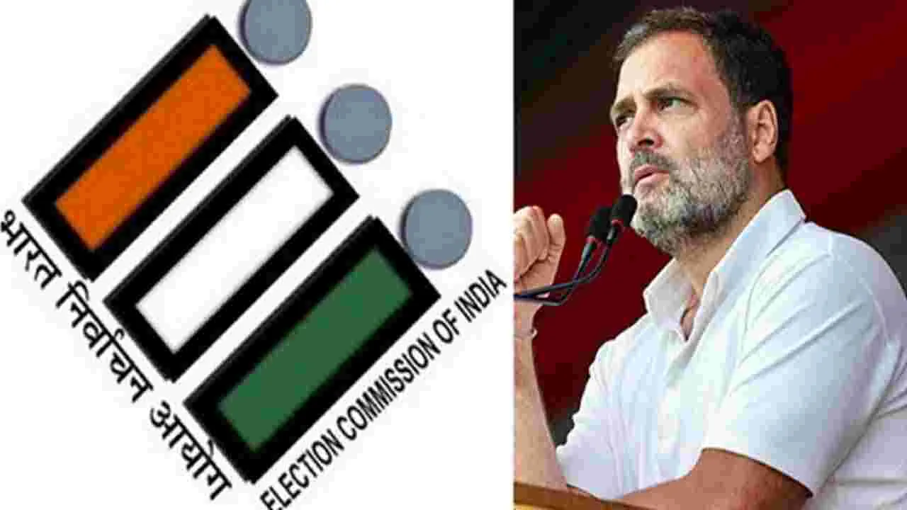 Elction Commission: రాహుల్‌ గాంధీ వ్యాఖ్యలు బాధ్యతారాహిత్యం.. తప్పుపట్టిన ఈసీ