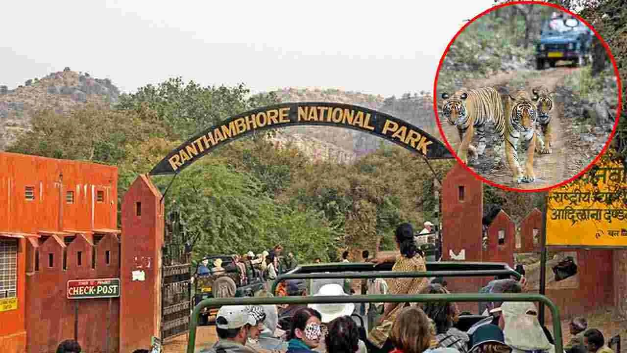 Wildlife Safari Tour: వణ్యప్రాణులను చూడటానికి దేశంలోని 5 ఉత్తమ ప్రదేశాలివే..