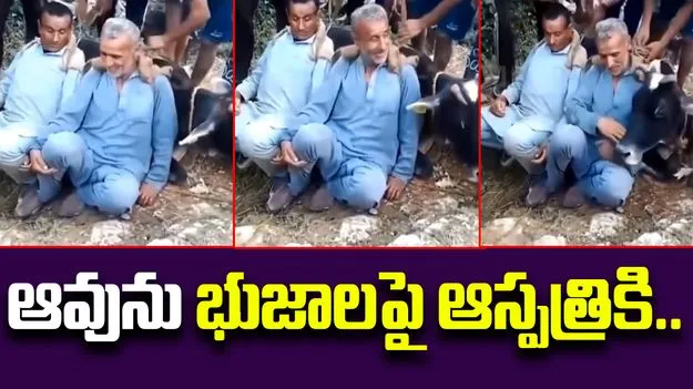 Brothers Carry 200kg Cow: మానవత్వం అంటే ఇది.. 200 కేజీల ఆవును భుజాలపై మోసుకెళ్లి..
