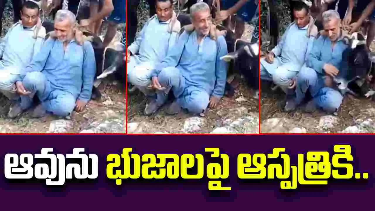 Brothers Carry 200kg Cow: మానవత్వం అంటే ఇది.. 200 కేజీల ఆవును భుజాలపై మోసుకెళ్లి..