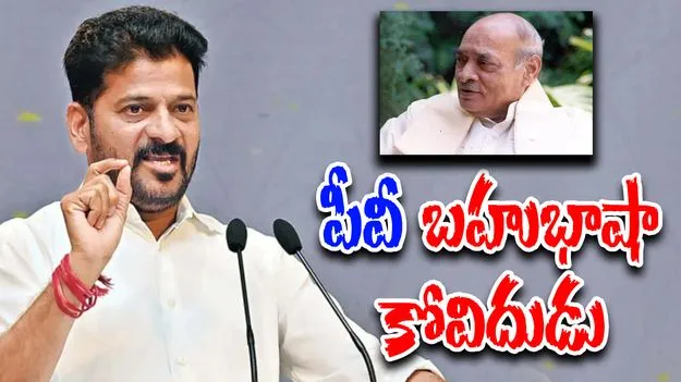 CM Revanth Reddy: పీవీ నరసింహారావు దేశ ప్రగతిని పరుగులు పెట్టించారు: సీఎం రేవంత్రెడ్డి