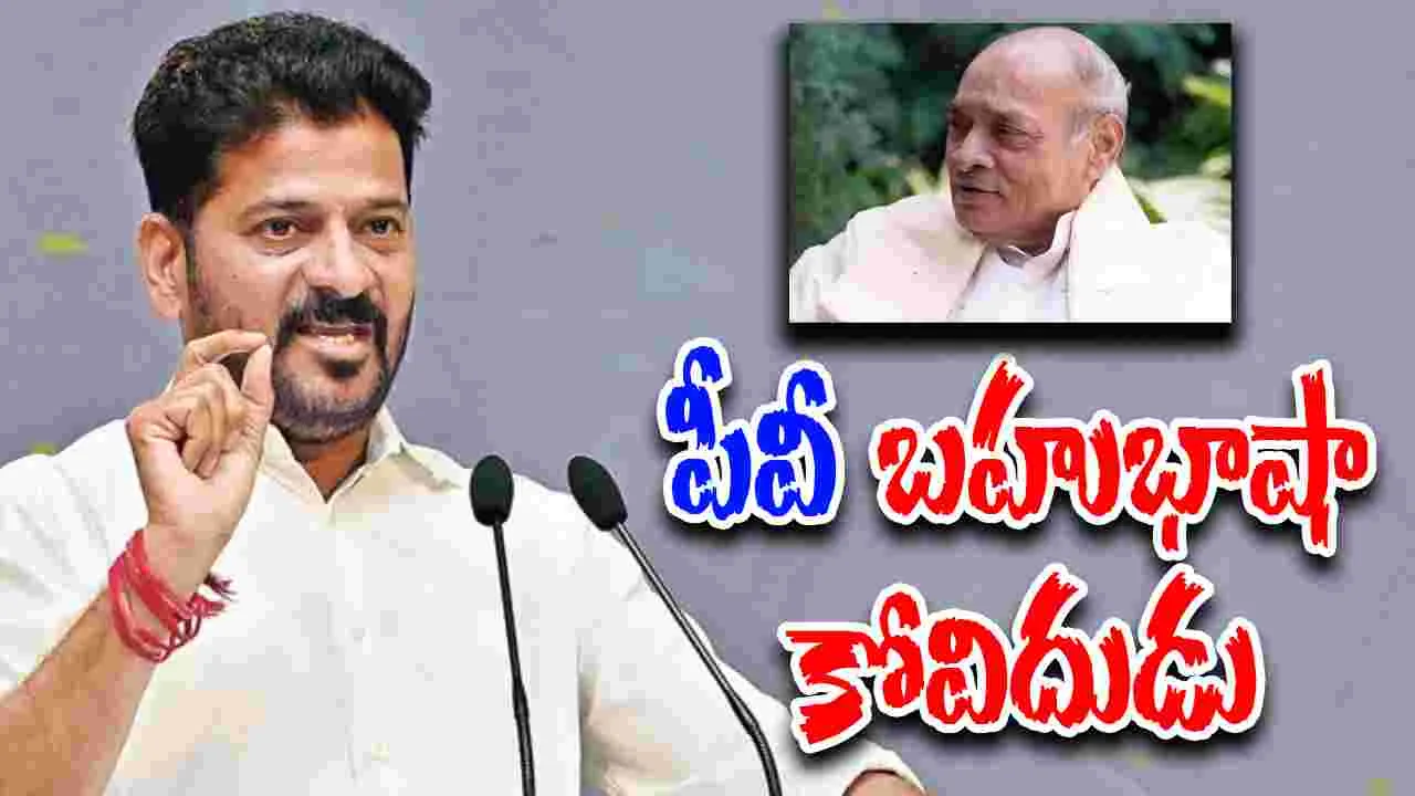 CM Revanth Reddy: పీవీ నరసింహారావు  దేశ  ప్ర‌గ‌తిని పరుగులు పెట్టించారు: సీఎం రేవంత్‌రెడ్డి 