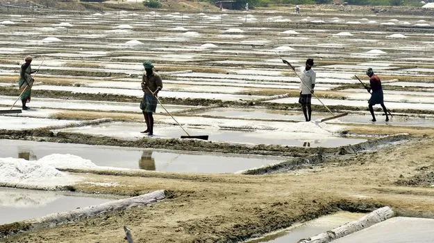 Salt Industry Crisis: ఉప్పు భూముల లీజులను పునరుద్ధరించాలని  
