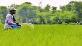 Urea Supply: గతేడాదికంటే 18% ఎక్కువ యూరియా