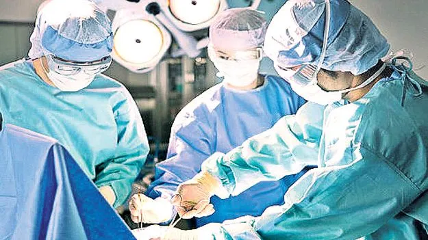 పెరుగుతున్న కోతలు
