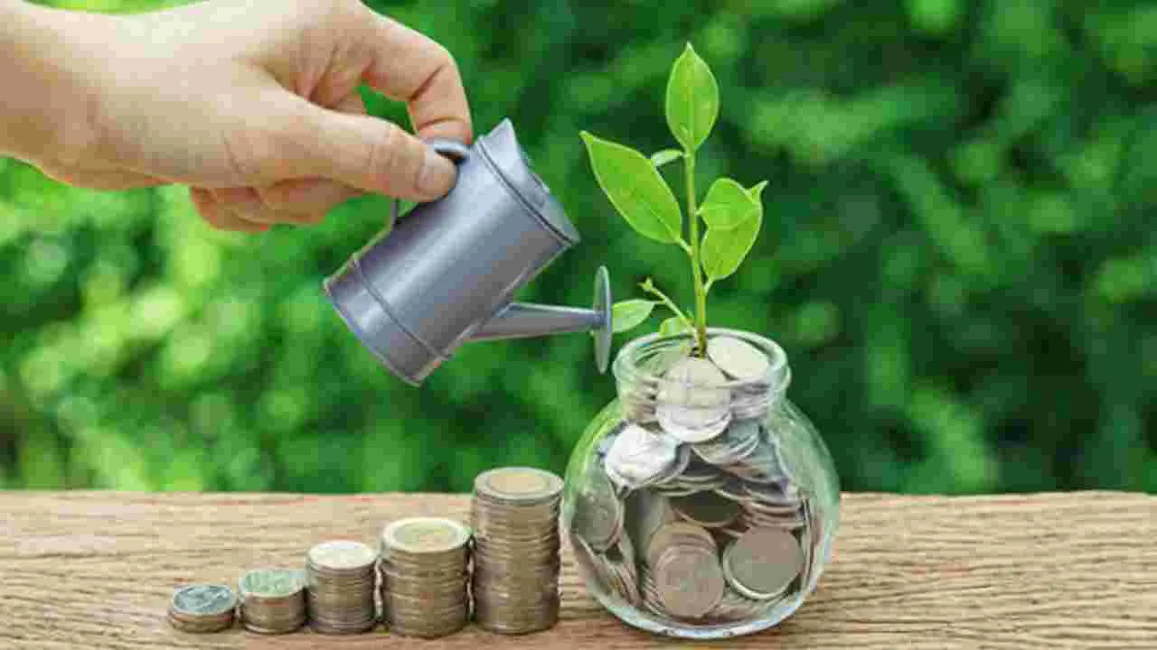Money Saving Tips:  ప్రీమియం తక్కువగా ఉండే ఈ స్కీమ్స్ మీకు తెలుసా?
