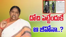 Maoists: మంత్రి సీతక్కకు మావోయిస్టుల హెచ్చరిక