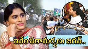 Sharmila Criticizes Jagan: జగన్ పల్నాడు పర్యటనపై షర్మిల సంచలన కామెంట్స్