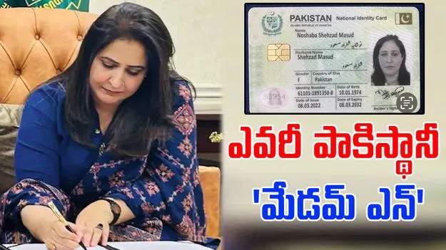 Madam N: ఎవరీ పాకిస్థానీ 'మేడమ్ N'.. భారత యూట్యూబర్లకు స్వర్గధామిక