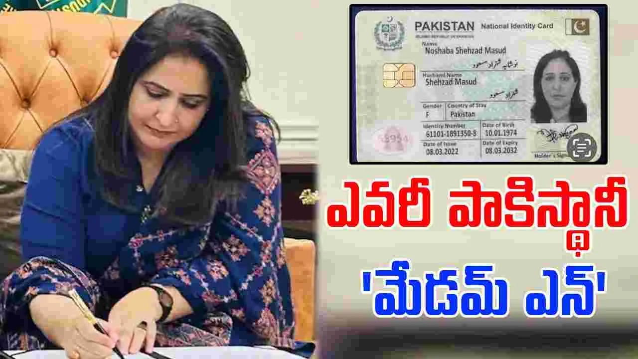 Madam N: ఎవరీ పాకిస్థానీ 'మేడమ్ N'.. భారత యూట్యూబర్లకు స్వర్గధామిక 