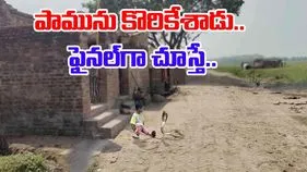 Child Bites Cobra: ఆడుకుంటున్న చిన్నారి.. ఎదురుగా వచ్చిన నాగుపాము.. చివరకు షాకింగ్ ట్విస్ట్.. 