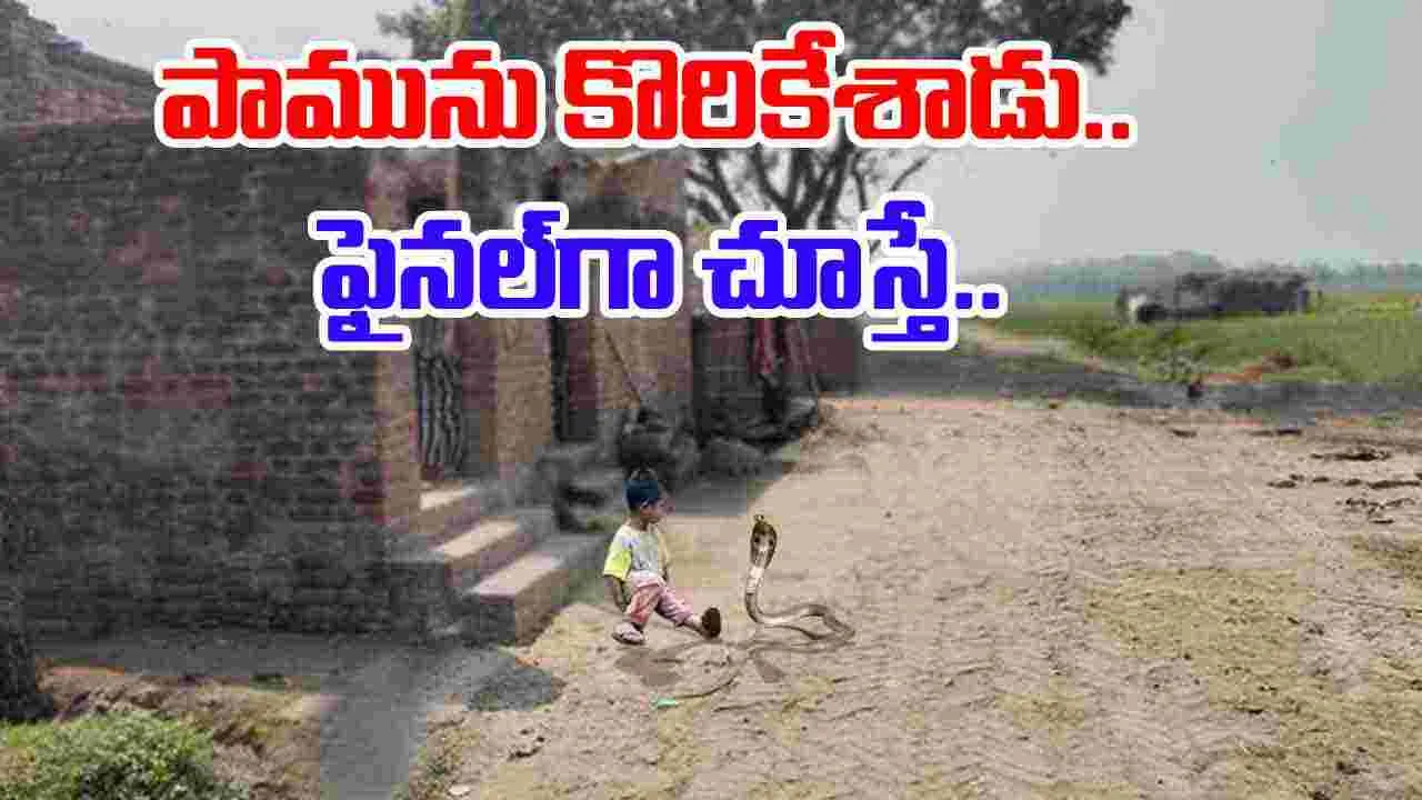 Child Bites Cobra: ఆడుకుంటున్న చిన్నారి.. ఎదురుగా వచ్చిన నాగుపాము.. చివరకు షాకింగ్ ట్విస్ట్.. 