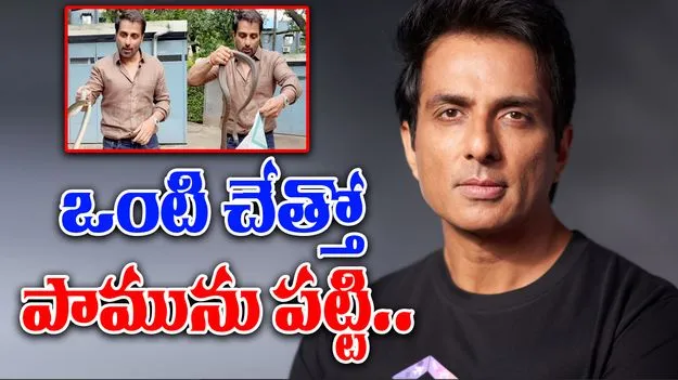 Sonu Sood Rescues Snake: సోనూసూద్ సాహసం.. ఒంటి చేత్తో పామును పట్టి..