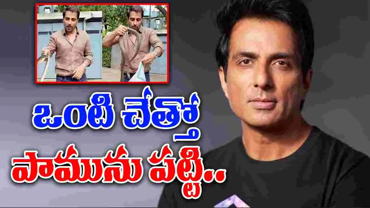Sonu Sood Rescues Snake: సోనూసూద్ సాహసం.. ఒంటి చేత్తో పామును పట్టి..