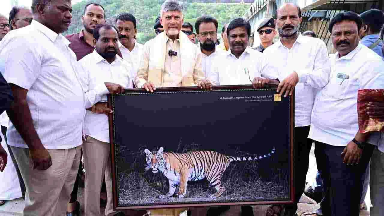 AP CM Chandrababu Naidu in Srisailam: కృష్ణమ్మకు సీఎం చంద్రబాబు నాయుడు జల హారతి..