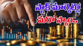 Pump and Dump Scam: స్టాక్ మార్కెట్‌లో పంప్ అండ్ డంప్ స్కామ్..భారీగా నష్టపోయిన ఇన్వెస్టర్లు