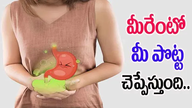 Gut Health: మీరేంటో మీ పొట్ట చెప్పేస్తుంది.. 