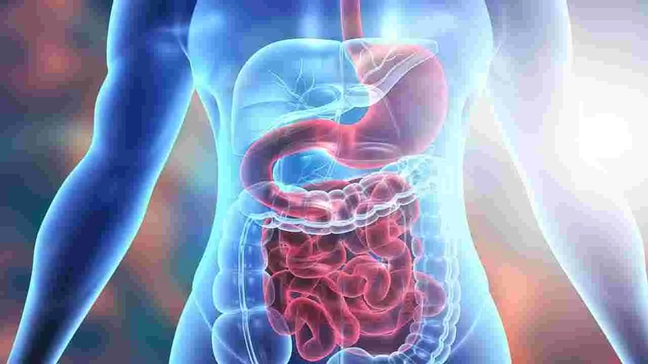 Health Tips: ఉదయాన్నే గోరు వెచ్చని నీటిలో నిమ్మరసం కలిపి తాగితే.. ఏమవుతుందో తెలుసా..