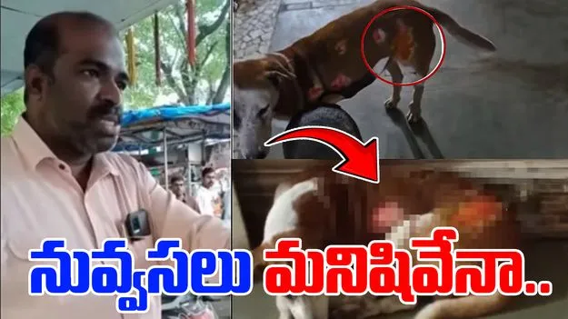 Street Dog: నువ్వసలు మనిషివేనా.. మూగ జీవిపై అంత దారుణమా..