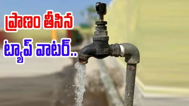Tap Water Infection:  ట్యాప్ వాటర్ తాగిన మహిళకు ప్రాణహాని.. ఐదు రోజుల్లోనే మృతి