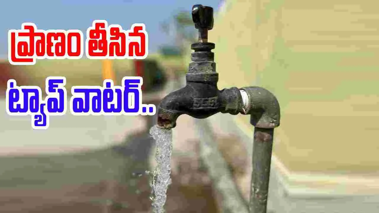 Tap Water Infection:  ట్యాప్ వాటర్ తాగిన మహిళకు ప్రాణహాని.. ఐదు రోజుల్లోనే మృతి