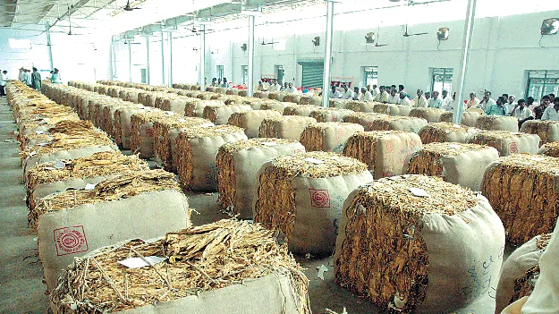 లోగ్రేడ్‌.... నోబిడ్‌